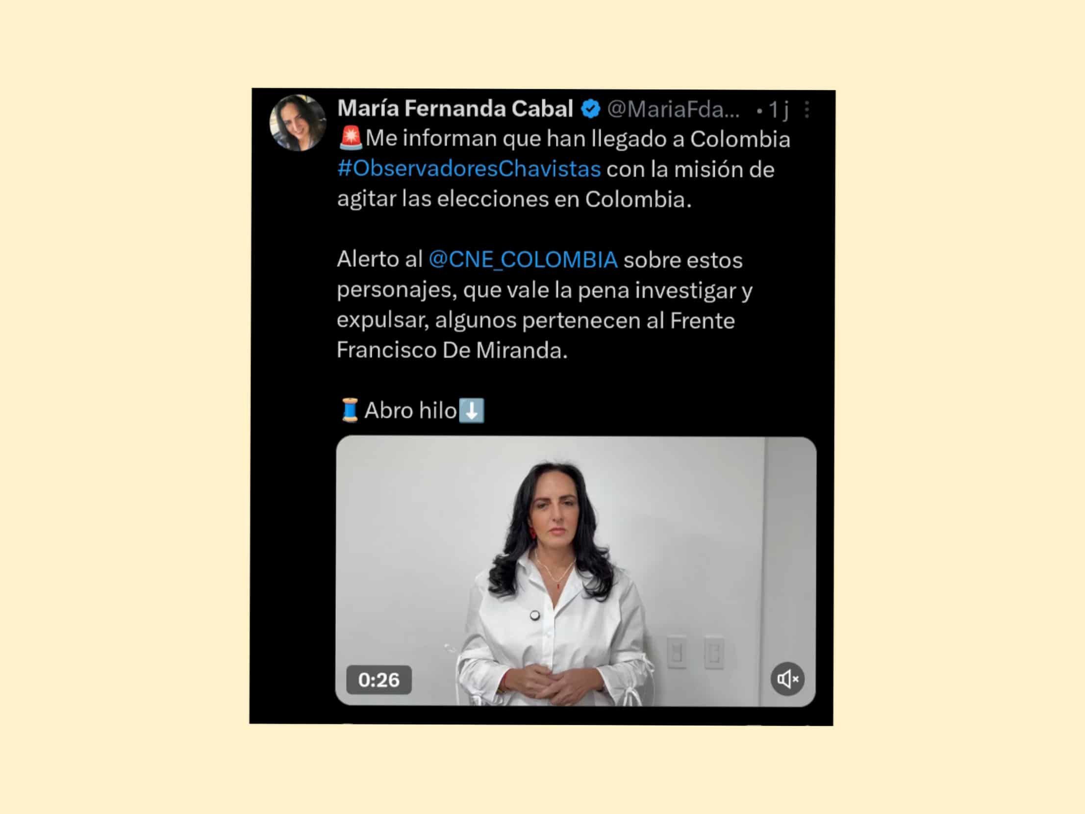 Comunicado de la Misión de observación electoral de COHESIA en Colombia ante los ataques públicos dirigidos contra algunos de sus observadores